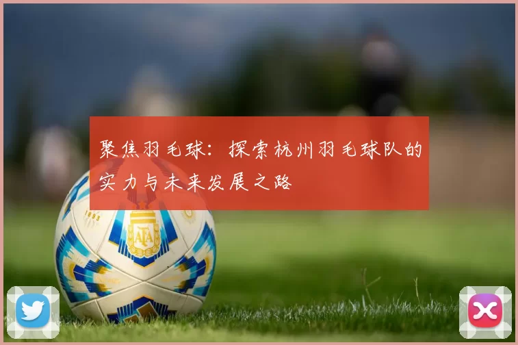 聚焦羽毛球：探索杭州羽毛球队的实力与未来发展之路