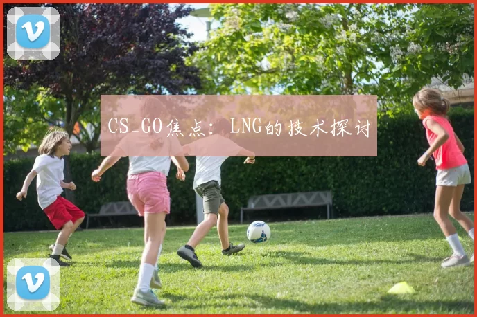 CS_GO焦点：LNG的技术探讨