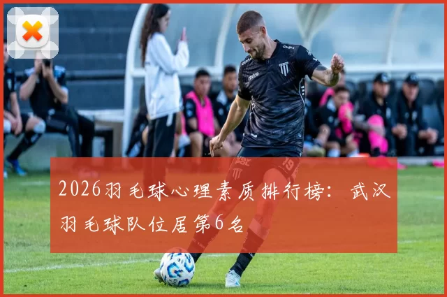 2026羽毛球心理素质排行榜：武汉羽毛球队位居第6名