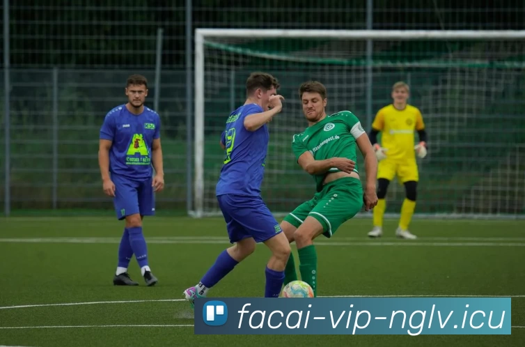 乐鱼体育平台生态图