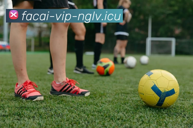 乐鱼体育全站App